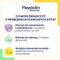 VETOQUINOL Flexadin Advanced Cat 30 kąsków