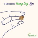 VETOQUINOL Flexadin Young Dog Mini 60 kąsków
