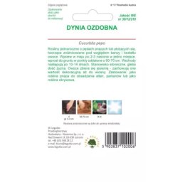 Dynia ozdobna, mieszanka odmian