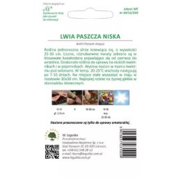 Lwia paszcza niska - mieszanka