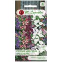 Petunia ogrodowa o pędach zwisających - mieszanka balkonowa