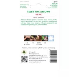 Seler korzeniowy Bruno
