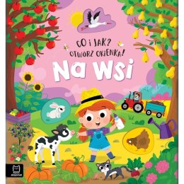 CO I JAK OTWÓRZ OKIENKA NA WSI