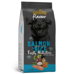 Divinus FLAVOUR DOG - łosoś z ryżem 18 kg