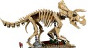 77985 - LEGO Jurassic World - Szkielety dinozaurów: triceratops