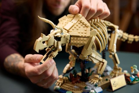 77985 - LEGO Jurassic World - Szkielety dinozaurów: triceratops