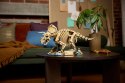 77985 - LEGO Jurassic World - Szkielety dinozaurów: triceratops