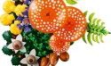 11505 - LEGO Botanicals - Grzyby leśne