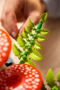 11505 - LEGO Botanicals - Grzyby leśne