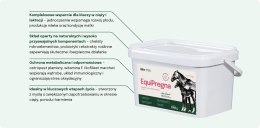 Lab-v EquiPregna Mieszanka paszowa uzupełniająca dla klaczy ciężarnych i karmiących, wspierająca przebieg ciąży, rozwój płodu or