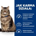 HILL'S PD Prescription Diet Feline Gastrointestinal Biome 85g