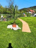 ŚCIEŻKA OGRODOWA Z DRZEWA CEDROWEGO 250CM X 43CM BITUXX ZWIJANA DO OGRODU DRÓŻKA