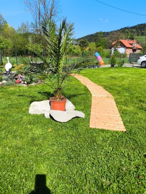 ŚCIEŻKA OGRODOWA Z DRZEWA CEDROWEGO 250CM X 43CM BITUXX ZWIJANA DO OGRODU DRÓŻKA
