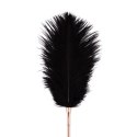 Rosy Gold - Feather Tickler & Whip - Rosegold