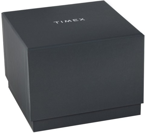Zegarek Męski TIMEX Harborside Coast TW2Y05000 + BOX