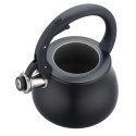CZAJNIK STALOWY Z GWIZDKIEM 2,8L KLAUSBERG KB-7918